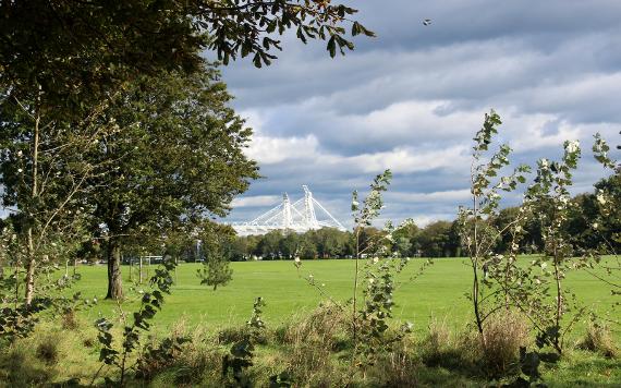 View of Deepdale Stadium from wildflower meadow on Moor Park.