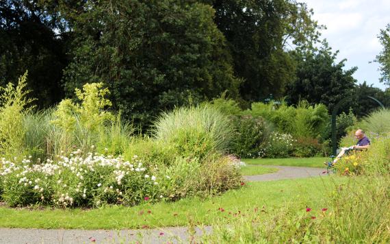 Man reading paper on bench in Moor Park flower gardens.