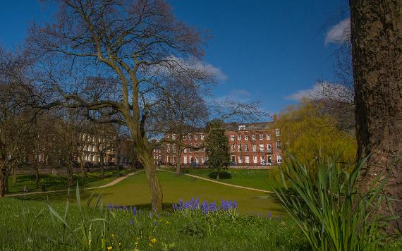 Winckley Square on summer's day, with flowers and trees in foreground.