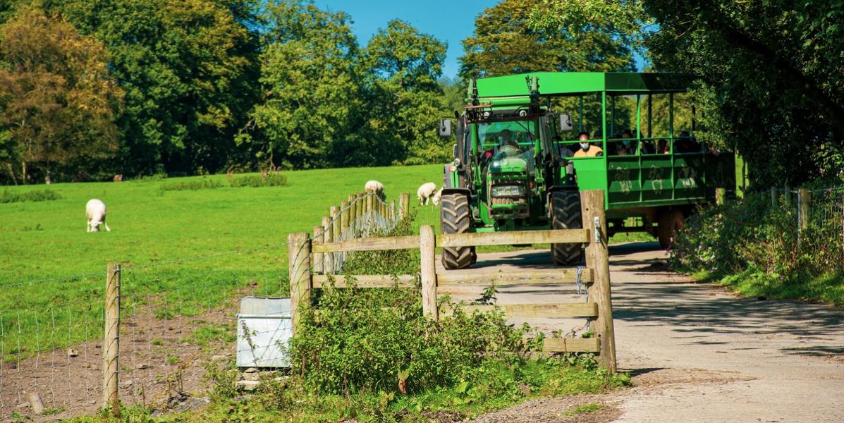 Tractor at Smithy Farm