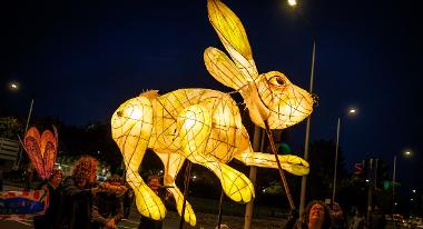 Rabbit at Torchlight Procession