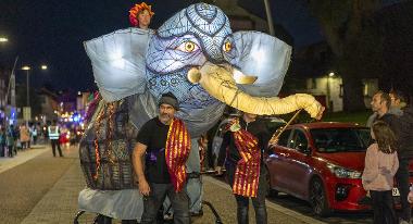 Elephant in the Torchlight Procession