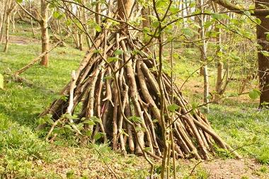 Den made of fallen branches and twigs