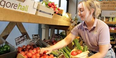 Trader gathering tomatoes at Fresh and Fruity