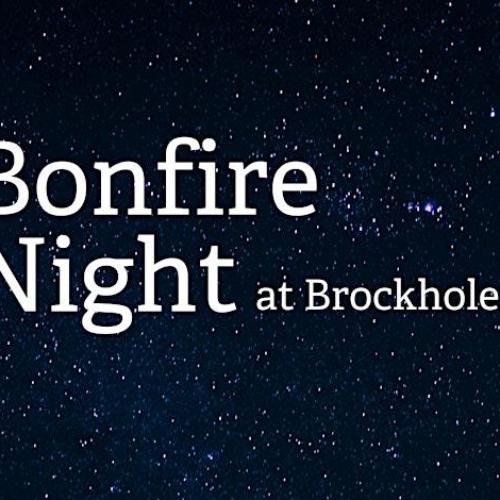 Wildlife-Friendly Bonfire Night at Brockholes