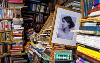 Books at Halewoods