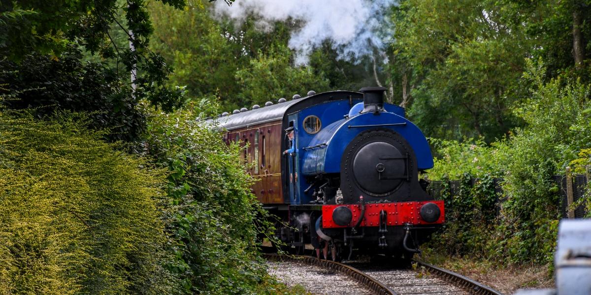 Train driver leaning out of steam train along the Ribble Steam Railways tracks.