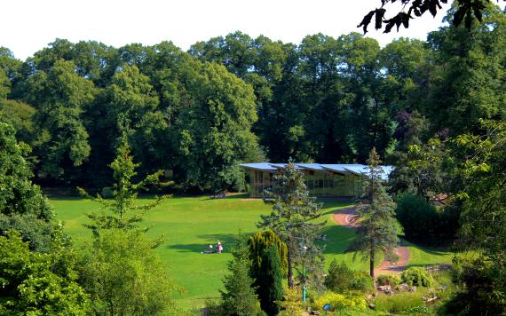 Avenham Park with Japanese Gardens and Pavilion Café in the background.