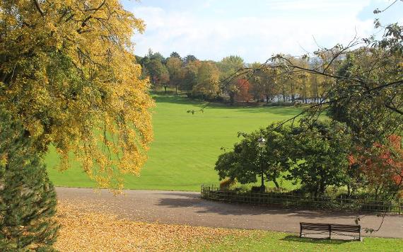 View of Avenham Park with autumn leaves on ground.