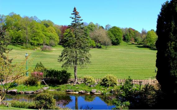 Pond, trees, and shrubbery of Avenham Park Japanese Gardens.