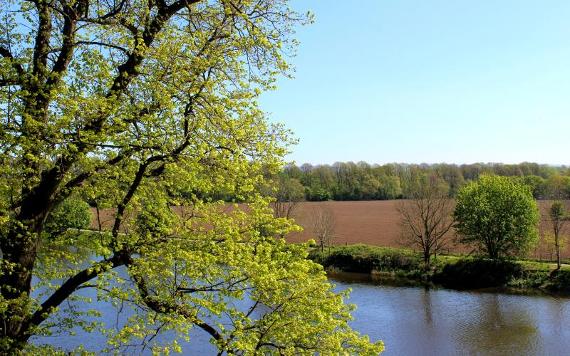 View of fields over River Ribble from Avenham Park bridge.