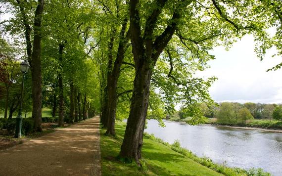 Avenham Park tree-lined path alongside River Ribble.