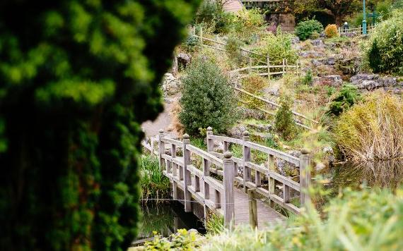 Bridge over pond in Avenham Park's Japanese Gardens.