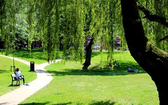 Woman on bench and groups on grass in Winckley Square Gardens on sunny day.