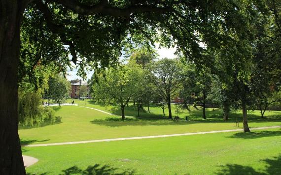 View of Winckley Square Garden's green space and trees on sunny day.