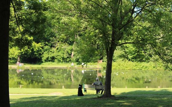 Man and dog sat by Haslam Park pond.