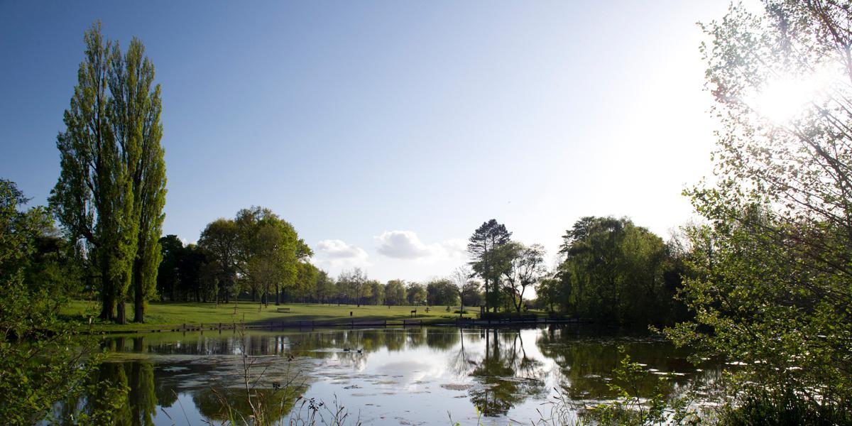 View of Haslam Park over pond area.