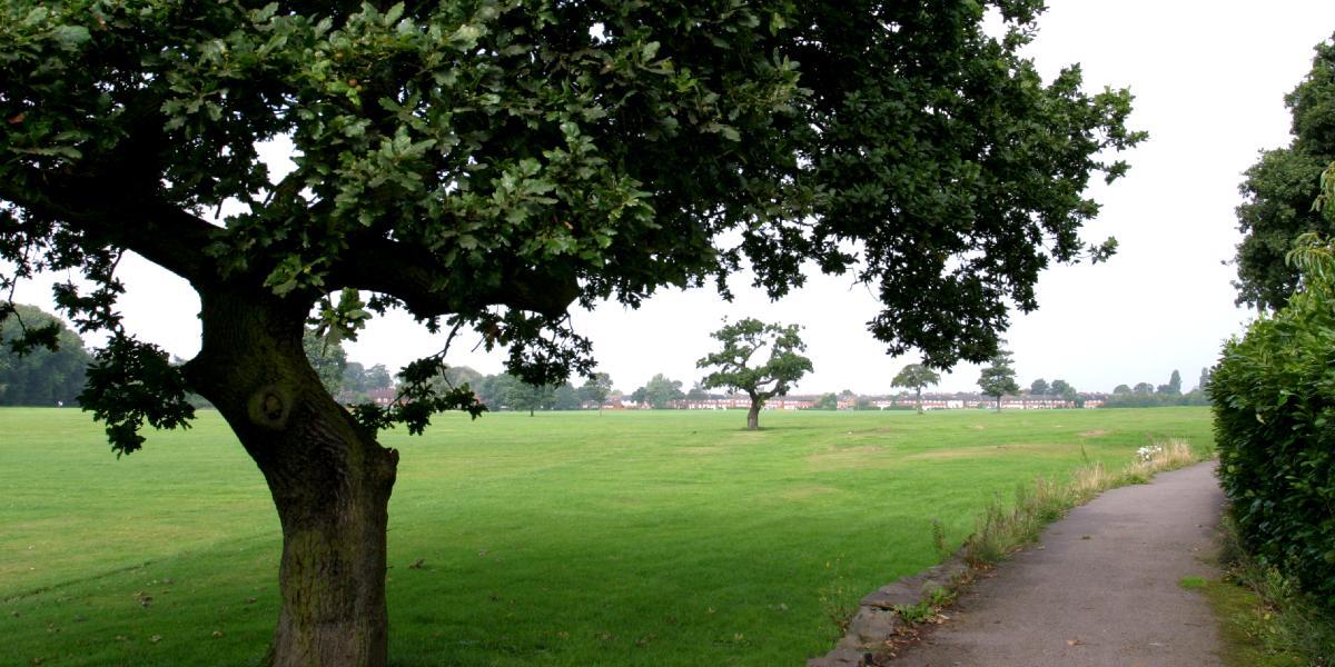 View of green space and trees in Ashton Park, Preston.