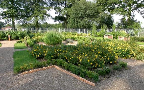 Flower beds in Grange Park, Preston.