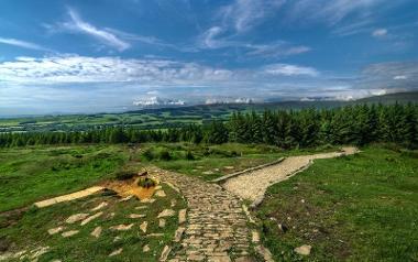 Paths splitting into two different ways on hill at Beacon Fell.