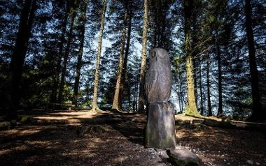 Wooden owl sculpture amongst trees as part of Beacon Fell sculpture trail.