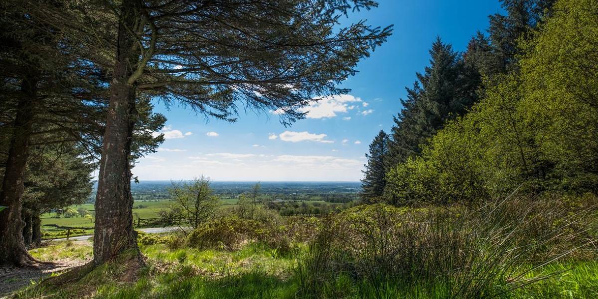 View overlooking hills and villages from Beacon Fell Country Park.