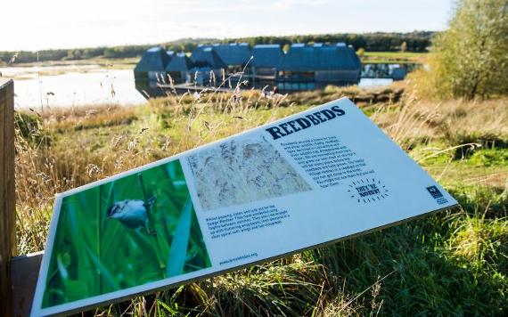 Brockholes signage for reedbeds with visitor centre in background.