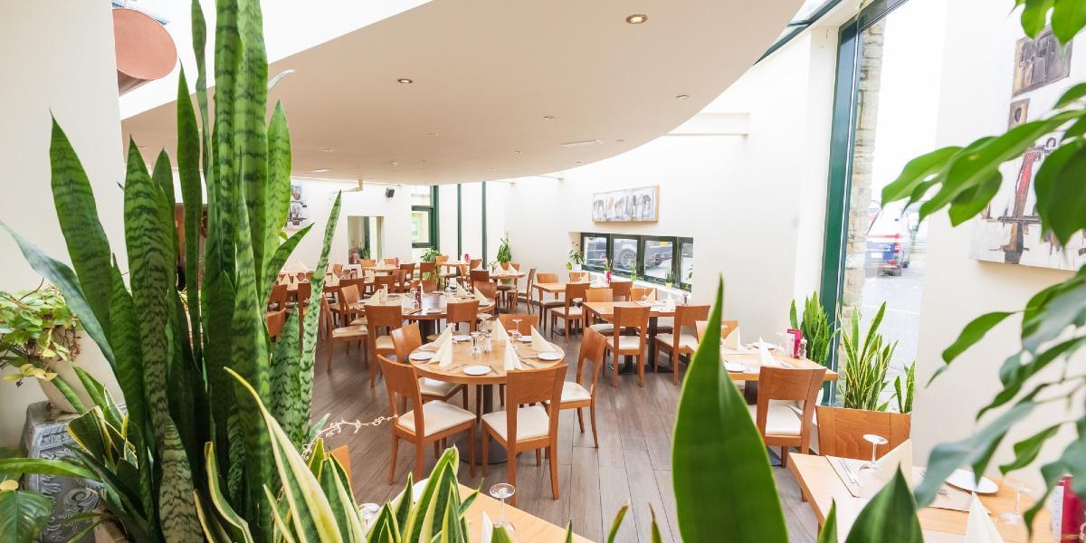 View of Pinocchio's dining area from behind an array of plants.